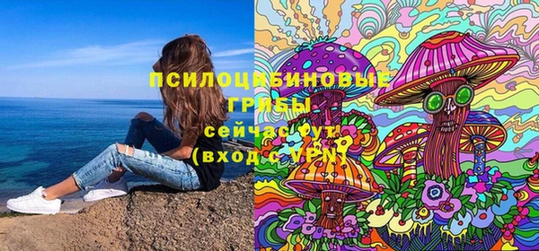 молекула духа Алзамай