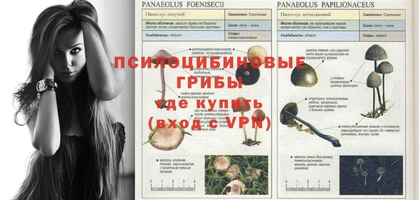 кокаин премиум Алексеевка