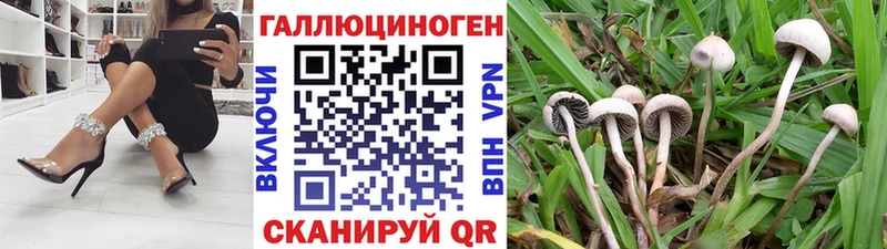 кракен зеркало  Снежногорск  Псилоцибиновые грибы Psilocybine cubensis 